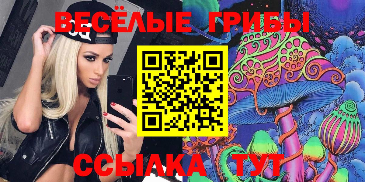 Псилоцибиновые грибы Psilocybine cubensis Саратов