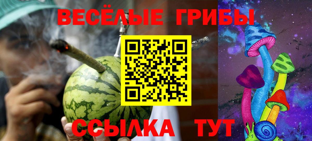 Галлюциногенные грибы прущие грибы  Вход с VPN  Саратов 